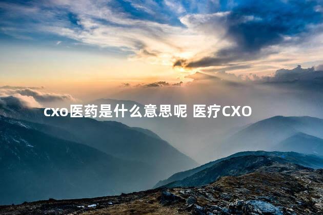 cxo医药是什么意思呢 医疗CXO